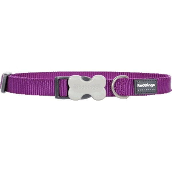 Red Dingo Dog Collar Classic Purple, Medium RE437139